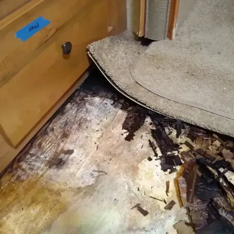 Wood Floor Water Damage in Macomb County, MI